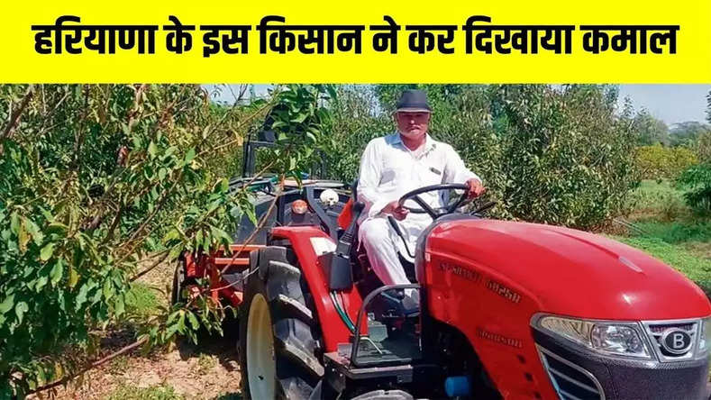 Haryana News: हरियाणा के इस किसान ने कर दिखाया कमाल, MSc पास किसान खेती से कमाता है लाखों रुपये