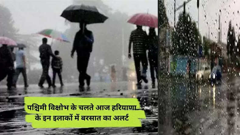 Haryana Rain