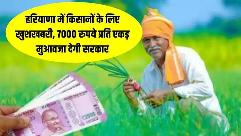 हरियाणा में किसानों के लिए खुशखबरी, 7000 रुपये प्रति एकड़ मुआवजा देगी सरकार, सीएम ने की घोषणा