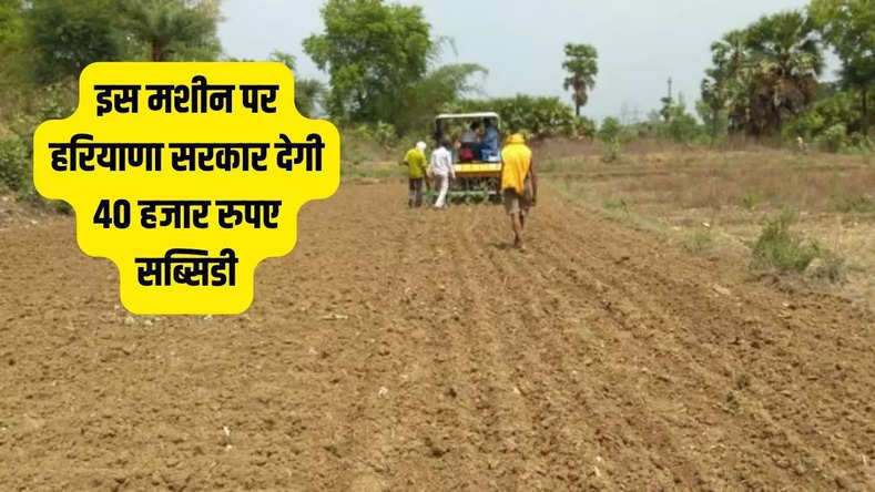 किसान, धान की खेती, हरियाणा सरकार, सब्सिडी    Paddy Farming, Haryana Government, Subsidy, Subsidy On paddy Farming