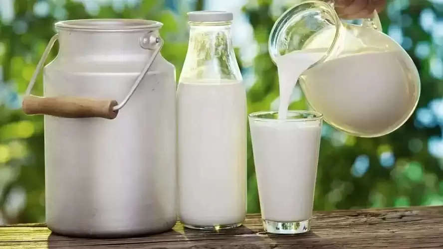 Milk Price 