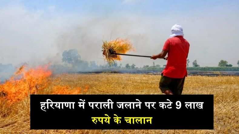 हरियाणा में पराली जलाने पर कटे 9 लाख रुपये के चालान, फिर भी मान नहीं रहे किसान...पढ़ें पूरी खबर 