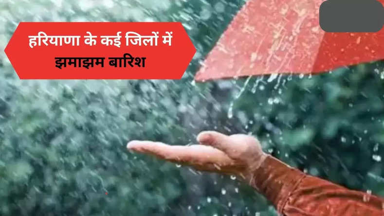 Haryana Rain Alert