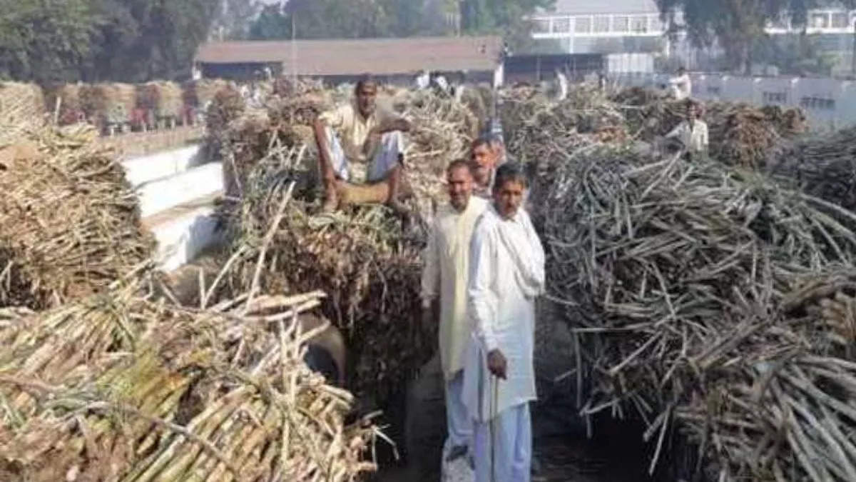 Haryana Farmers