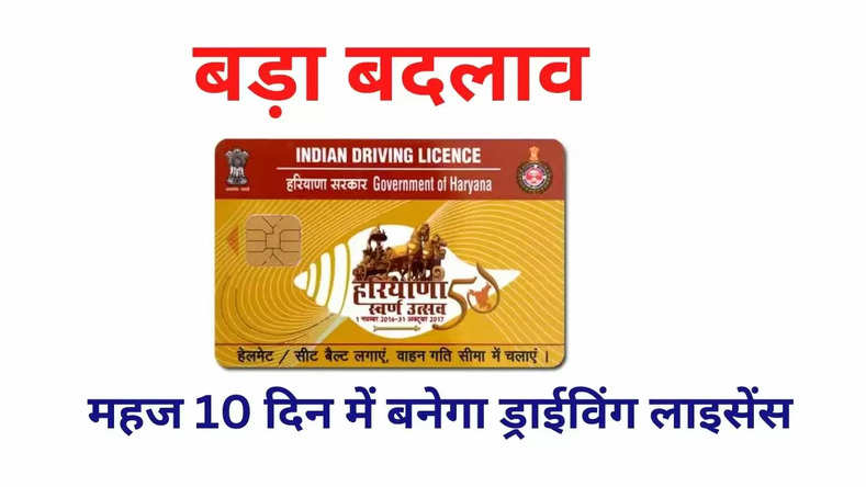 Haryana Driving Licence