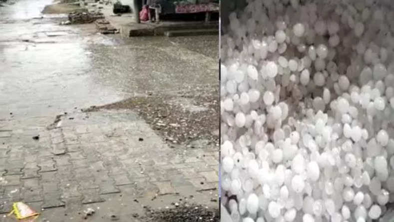 Fatehabad weather update, Ratia area, Alika village, rain-hail, thunderstorm