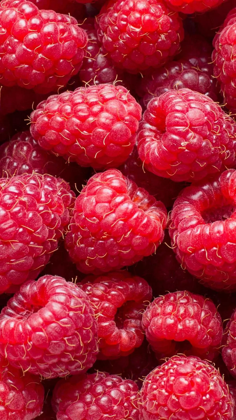 Best High Fiber Fruits For Weight Loss, See Here