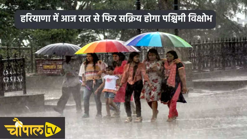 Haryana Weather Alert: हरियाणा में आज रात से फिर सक्रिय होगा पश्चिमी विक्षोभ, इन इलाकों में होगी झमाझम बारिश