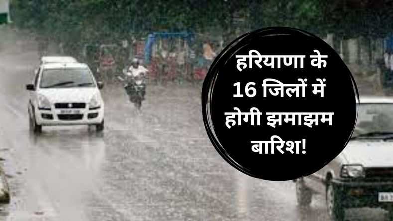 हरियाणा के 16 जिलों में होगी झमाझम बारिश! मौसम विभाग ने जारी किया येलो अलर्ट; देखें अपने शहर के मौसम का हाल 