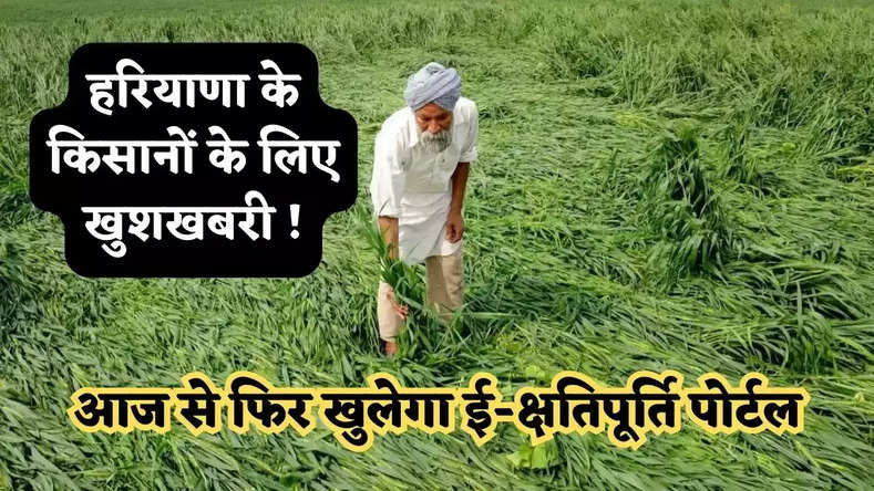 Haryana News :  हरियाणा के किसानों के लिए खुशखबरी ! आज से फिर खुलेगा ई-क्षतिपूर्ति पोर्टल